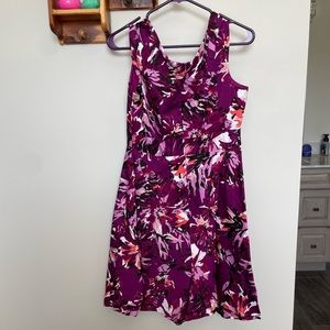 East 5th 12 Petite Dress